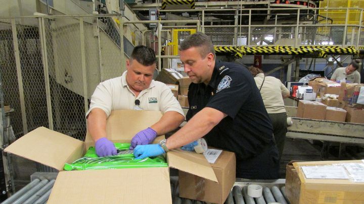 Deux inspecteurs en uniforme ouvrent un colis en carton sur une chaîne de tri dans un centre de courrier international, avec d'autres colis empilés autour d'eux.