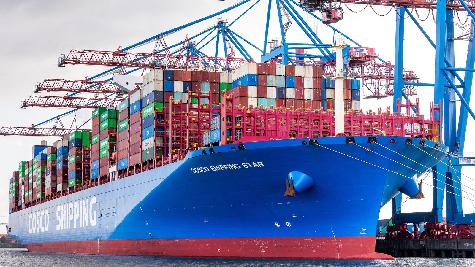 Le porte-conteneurs bleu COSCO Shipping Star chargé de conteneurs colorés, à quai à côté de hautes grues de quai rouges et bleues.